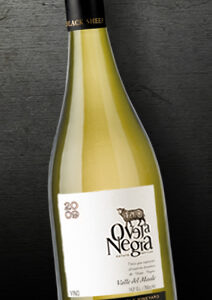 Wino Oveja Negra Reserva Single Vineyard Sav Blanc 13,5% 0,75l - obrazek 2