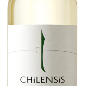 Wino Chilensis Savignon blanc 12,5% 0,75l białe wytrawne - obrazek 2