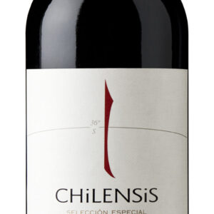 Wino Chilensis Carmenere 13,5% 0,75l czerwone wytrawne - obrazek 2