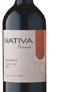 Wino Nativa Terra Reserva Carmenere, Curico Valley tinto 13,5% 75cl - obrazek 2