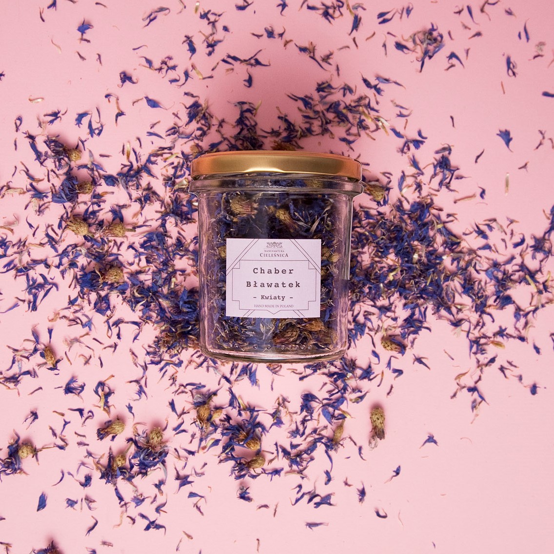 Susz Kwiat Chabra Bławatka MANUFAKTURA CIELEŚNICA