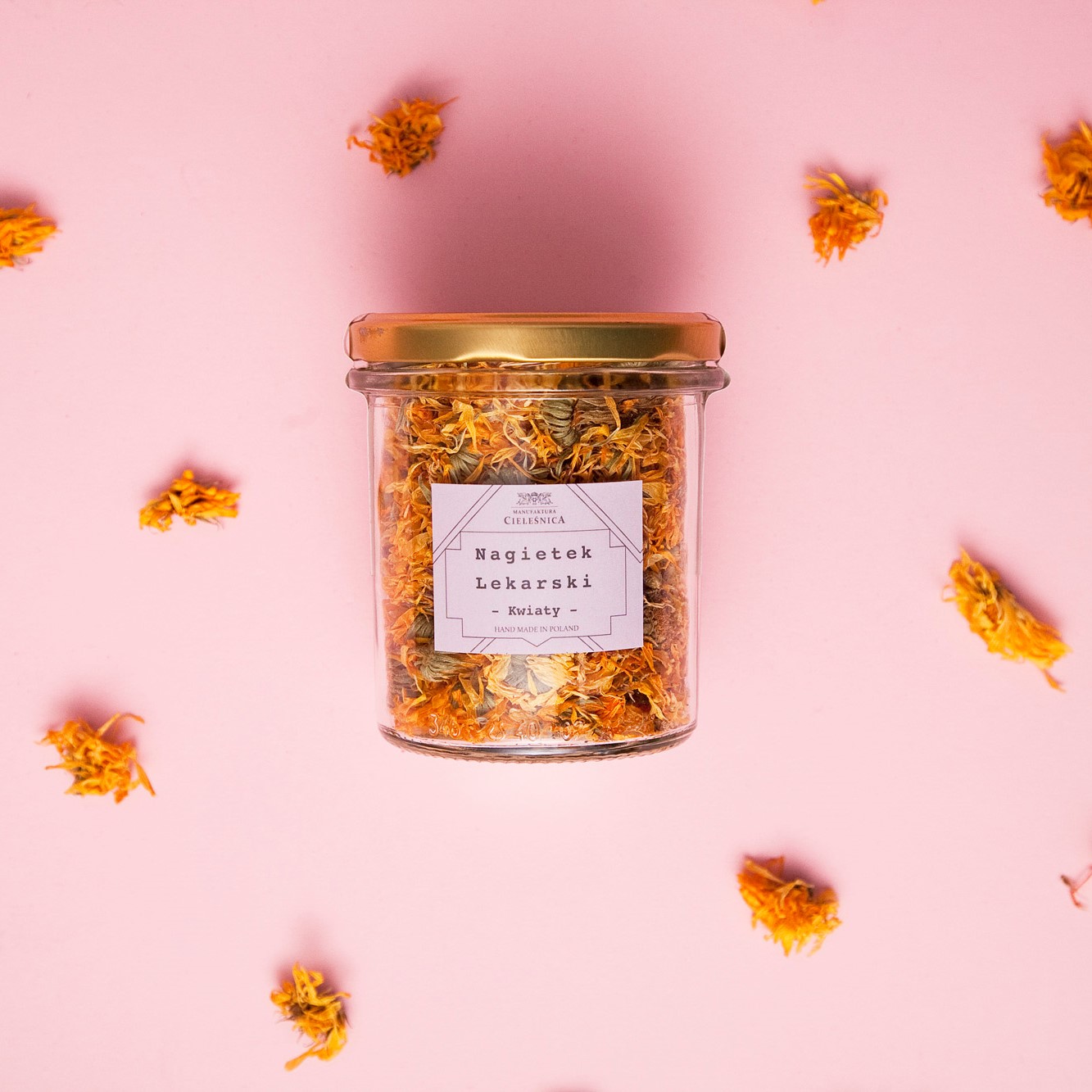 Susz Kwiaty Nagietka Lekarskiego MANUFAKTURA CIELEŚNICA